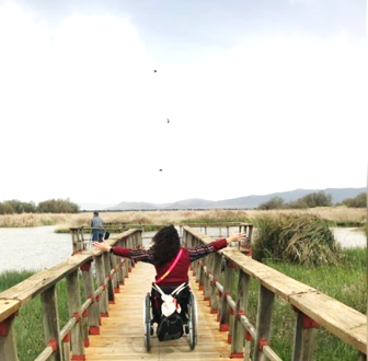 Usuario de silla de ruedas con los brazos extendidos en una pasarela de madera en un paraje natural