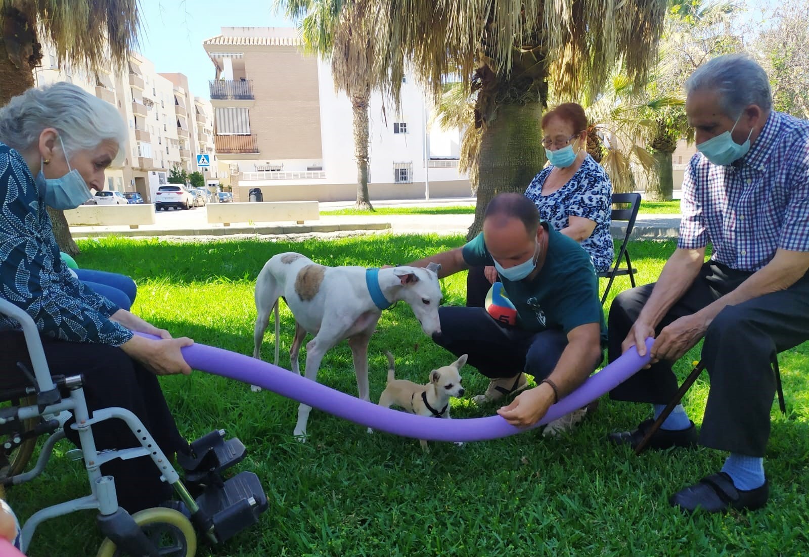 Imagen de dos personas mayores, una de ellas en silla de ruedas, interactuando con dos perros 
