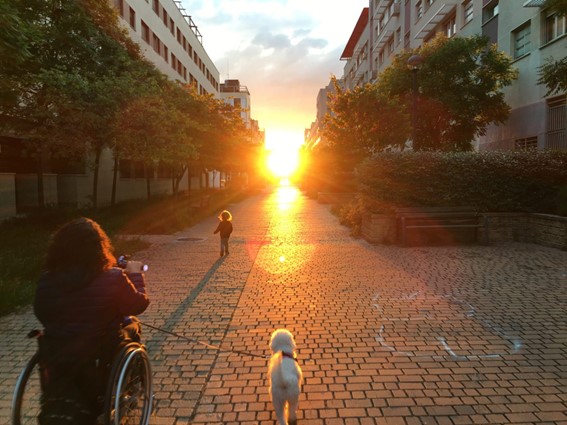 Chica en silla de ruedas avanzando hacia una puesta de sol por una calle peatonal con árboles acompañada por su hija que corre delante y su perro