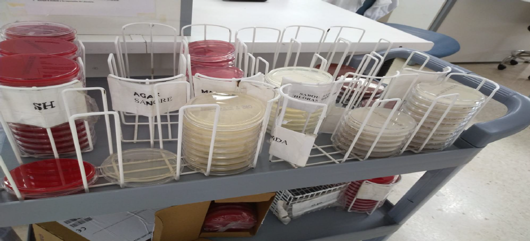 Muestras de laboratorio de microbiología