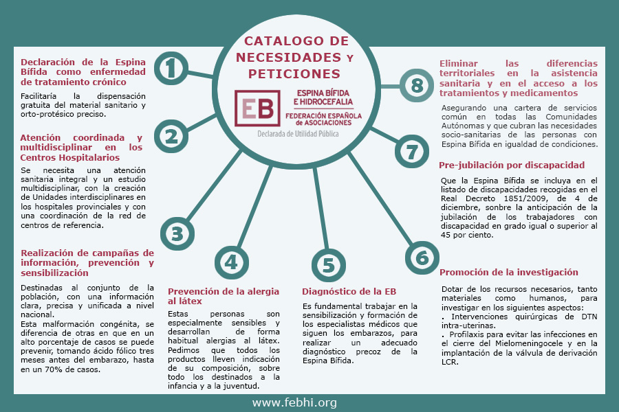 Texto con las necesidades y peticiones de FEBHI