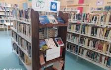 Foto de varias estanterías de la biblioteca repletas de libros
