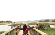 Usuario de silla de ruedas con los brazos extendidos en una pasarela de madera en un paraje natural Usuario de silla de ruedas con los brazos extendidos en una pasarela de madera en un paraje natural
