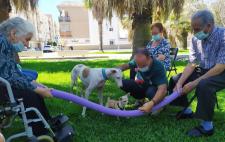 Imagen de dos personas mayores, una de ellas en silla de ruedas, interactuando con dos perros