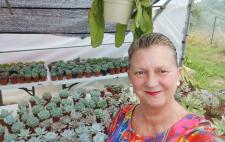 Paloma, rodeada de plantas
