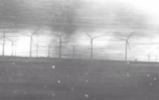 Imagen de unos molinos en blanco y negro con los que Marta quiere visibilizar su lucha contra la EM