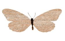 Imagen de una mariposa