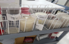 Muestras de laboratorio de microbiología