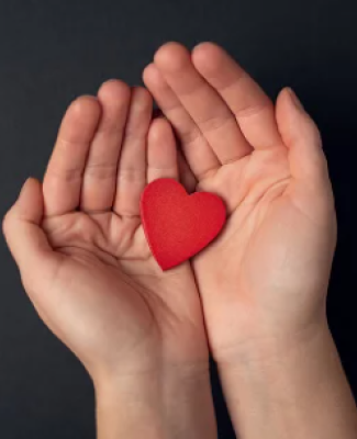 Imagen de dos manos abiertas con un corazón rojo entre ellas 