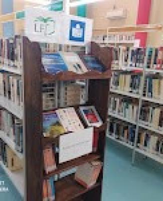 Foto de varias estanterías de la biblioteca repletas de libros 