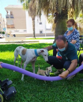 Imagen de dos personas mayores, una de ellas en silla de ruedas, interactuando con dos perros 