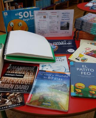 Foto de varios libros entre los que se ven algunos infantiles y uno en braille