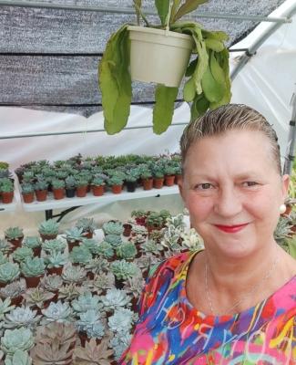Paloma, rodeada de plantas