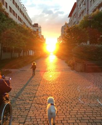 Chica en silla de ruedas avanzando hacia una puesta de sol por una calle peatonal con árboles acompañada por su hija que corre delante y su perro