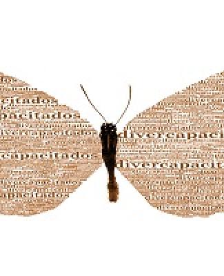 Imagen de una mariposa