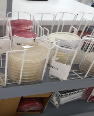 Muestras de laboratorio de microbiología