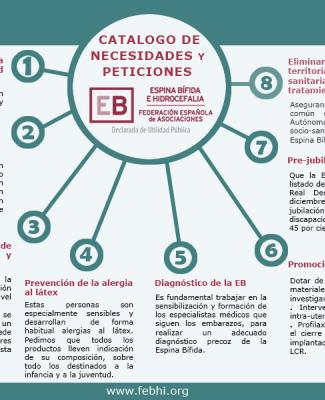 Texto con las necesidades y peticiones de FEBHI